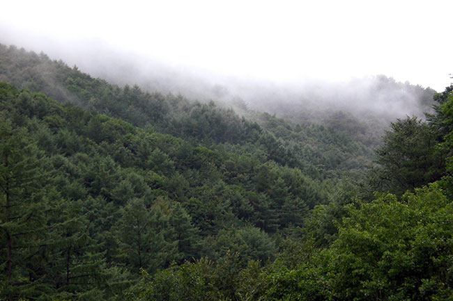 Mt. Baekwoon near Wonju, South Korea