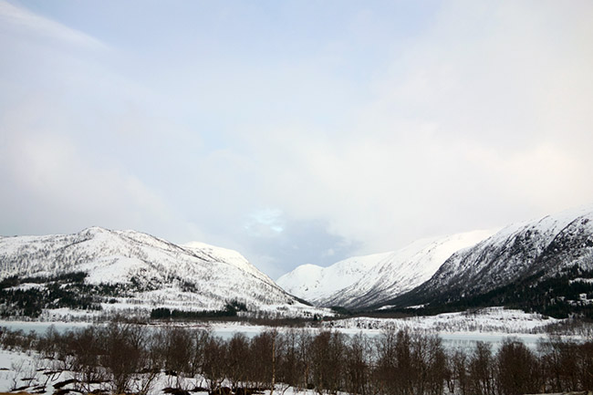 Road trip in Lofoten