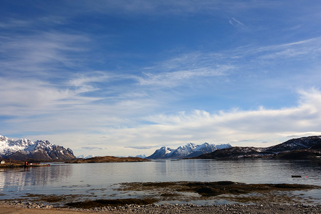 Road trip in Lofoten