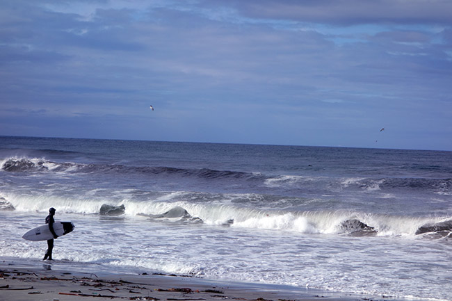 Surfing in Lofoten