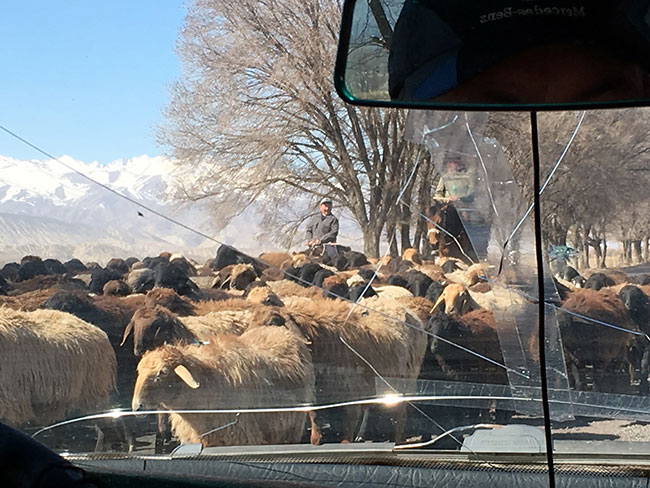 Horsemen and their flocks taking over the roads near Kochkor, Kyrgyzstan
