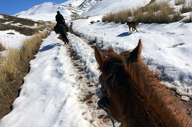 Horse-riding in Kyrgyzstan