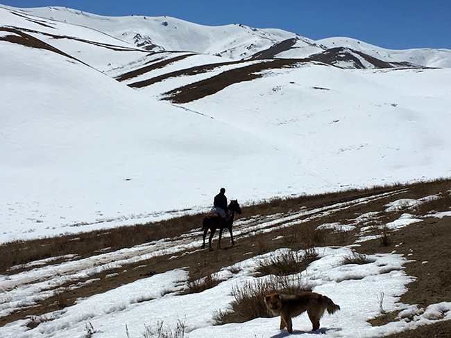 Shepherd and his horse in Kyrgyzstan