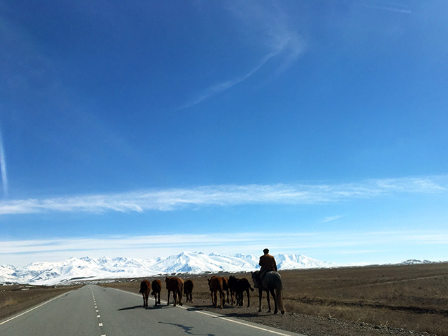 Nomad and his herd, Kyrgyzstan