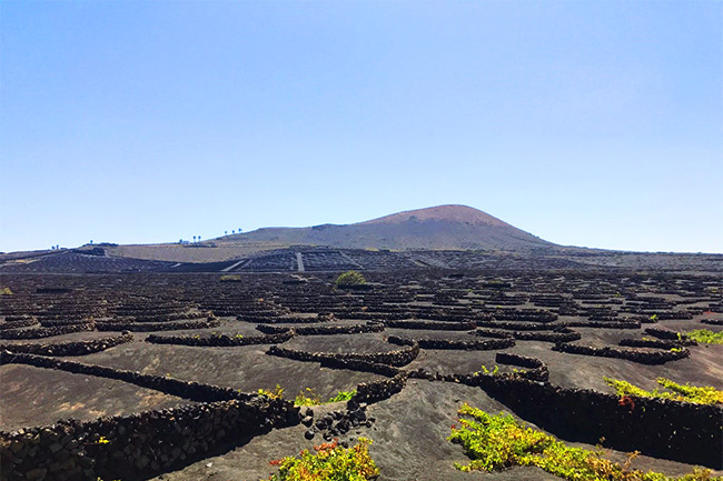 Moon-like winery on a volcano in Lanzarote, Spain