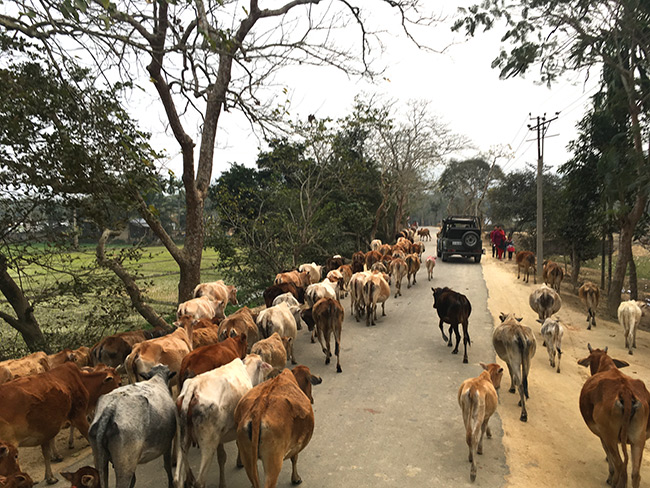 Streets of Kohora, India