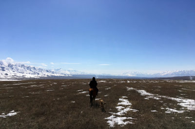 Galloping on the steppes of Kyrgyzstan