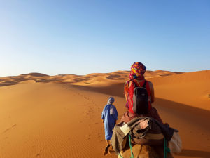 Camel riding in Sahara, Morocco